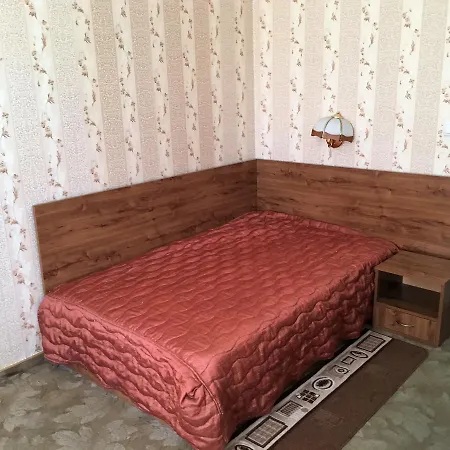 Danubian 2* Vidin