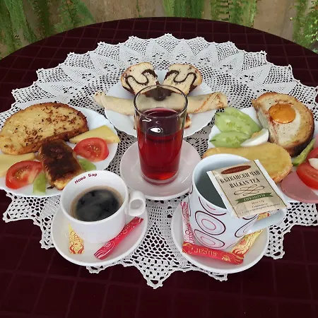 Danubian 2* Vidin