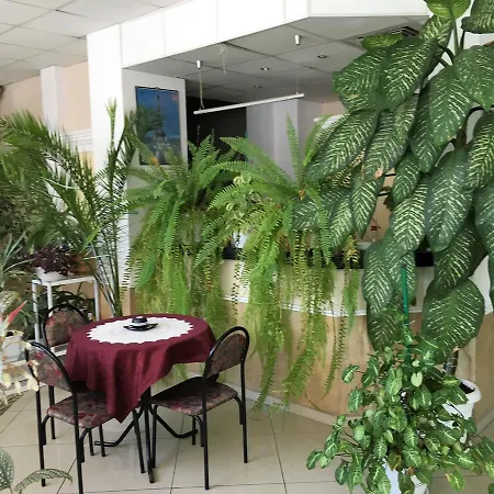 Danubian 2* Видин