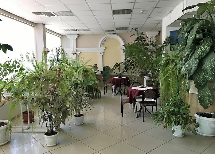 호텔 Danubian 비딘